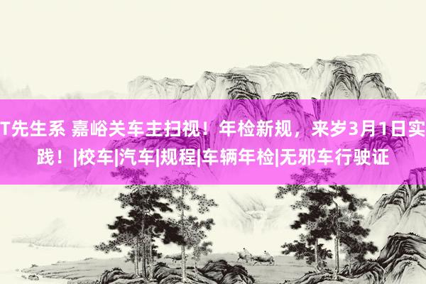 T先生系 嘉峪关车主扫视！年检新规，来岁3月1日实践！|校车|汽车|规程|车辆年检|无邪车行驶证