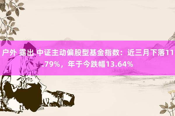 户外 露出 中证主动偏股型基金指数：近三月下落11.79%，年于今跌幅13.64%