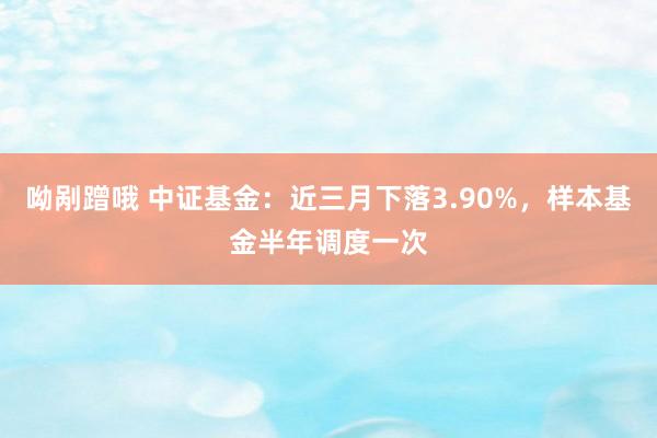 呦剐蹭哦 中证基金：近三月下落3.90%，样本基金半年调度一次