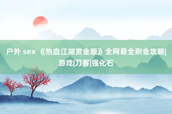 户外 sex 《热血江湖赏金版》全网最全刷金攻略|游戏|刀客|强化石